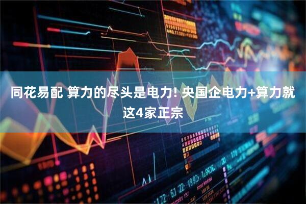 同花易配 算力的尽头是电力! 央国企电力+算力就这4家正宗