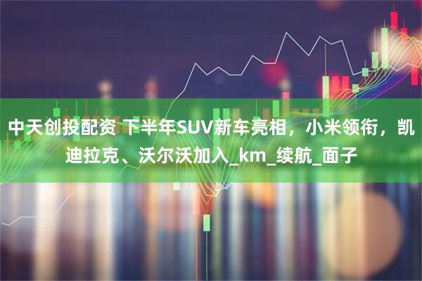 中天创投配资 下半年SUV新车亮相，小米领衔，凯迪拉克、沃尔沃加入_km_续航_面子