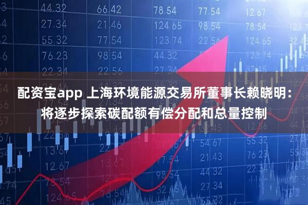 配资宝app 上海环境能源交易所董事长赖晓明:将逐步探索碳配额有偿分配和总量控制