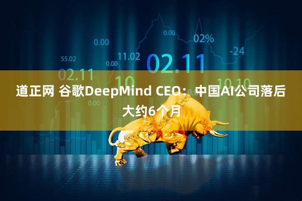 道正网 谷歌DeepMind CEO：中国AI公司落后大约6个月